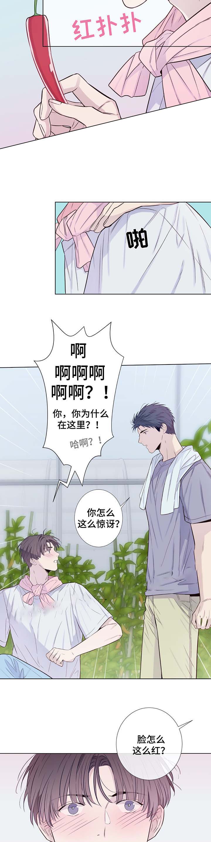 《夏天的客人》漫画最新章节第33话免费下拉式在线观看章节第【10】张图片