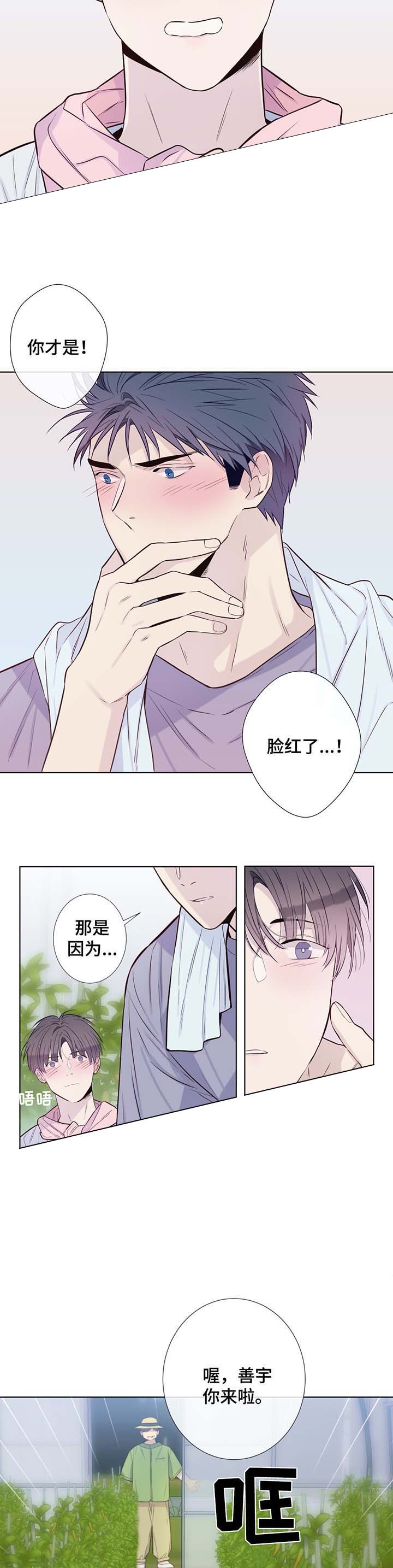 《夏天的客人》漫画最新章节第33话免费下拉式在线观看章节第【11】张图片