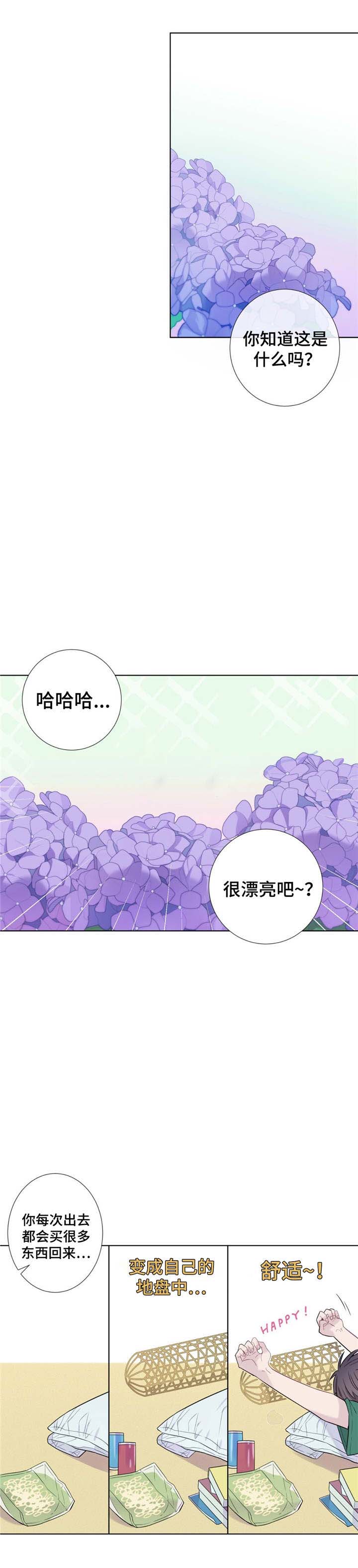 《夏天的客人》漫画最新章节第13话免费下拉式在线观看章节第【4】张图片