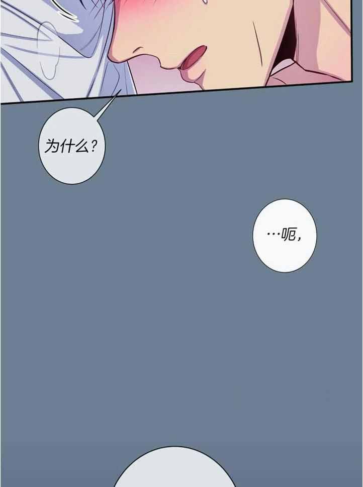 《夏天的客人》漫画最新章节第74话免费下拉式在线观看章节第【15】张图片