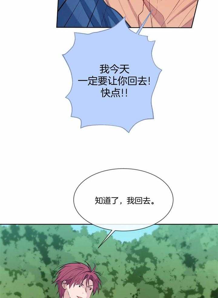 《夏天的客人》漫画最新章节第54话免费下拉式在线观看章节第【12】张图片