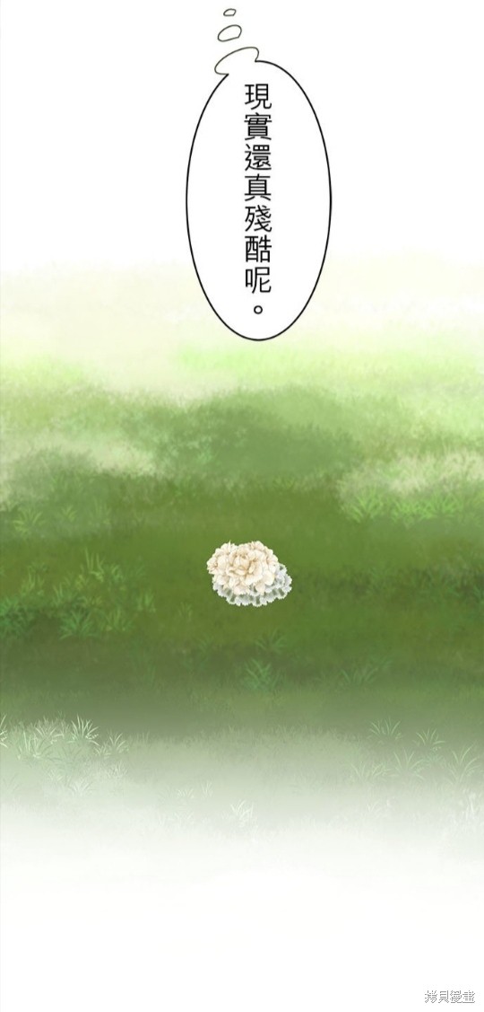 《奴莉塔丝-伪装的新娘》漫画最新章节第34话免费下拉式在线观看章节第【10】张图片