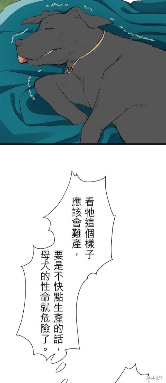 《奴莉塔丝-伪装的新娘》漫画最新章节第28话免费下拉式在线观看章节第【20】张图片