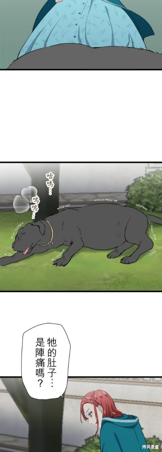 《奴莉塔丝-伪装的新娘》漫画最新章节第28话免费下拉式在线观看章节第【12】张图片