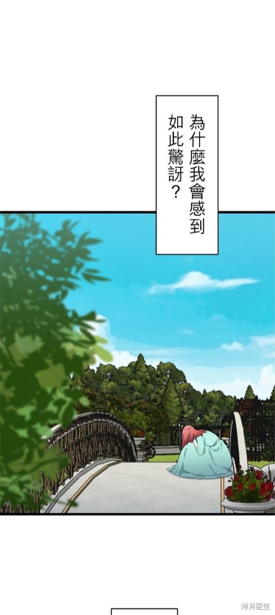 《奴莉塔丝-伪装的新娘》漫画最新章节第37话免费下拉式在线观看章节第【1】张图片